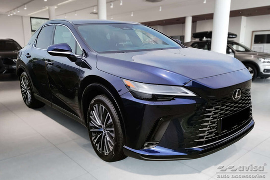 Nakładki progowe Lexus RX 5 (Stal)